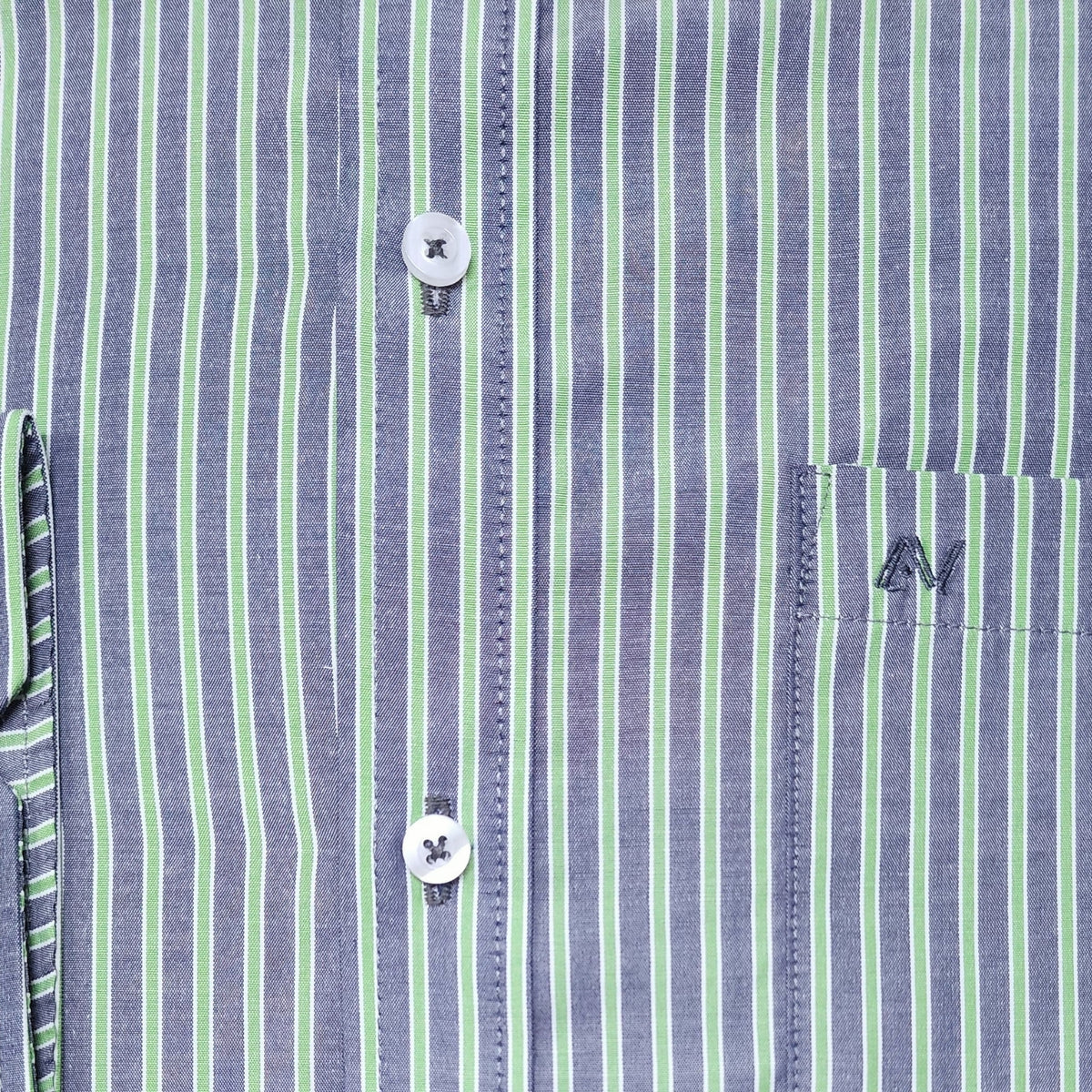 CAMISA ANDRE'E VERINO PREMIUM - BOTON EN EL CUELLO CASUAL RAYAS VERDES Y GRIS